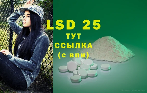 PSILOCYBIN Алзамай